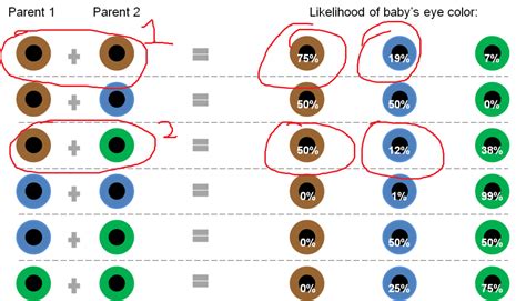 Dominant And Recessive Eye Color Chart Minga