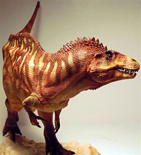 Realistic Dinosaur Model Kits Creative Beast Studio