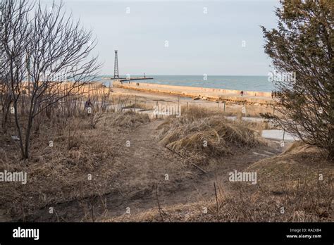 Prairie Landscape At Montrose Harbor With View Of Lake Michigan Stock