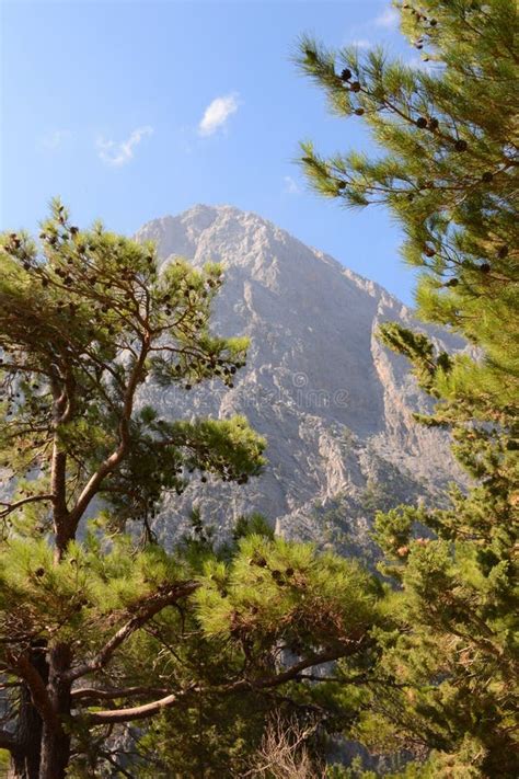 Nationalpark Samaria Gorges Griechenland Kreta Wei E Berge Stockfoto