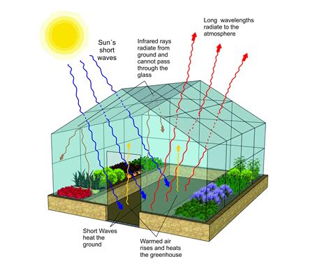 √ easy simple greenhouse effect diagram 334464