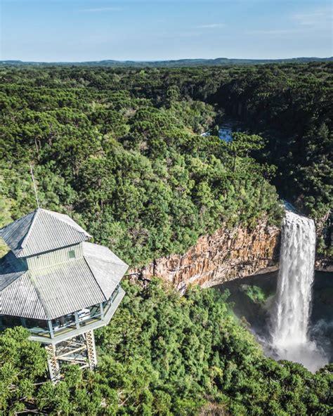 Parque do Caracol: refúgio da Mata Atlântica em Canela, a um pulo de