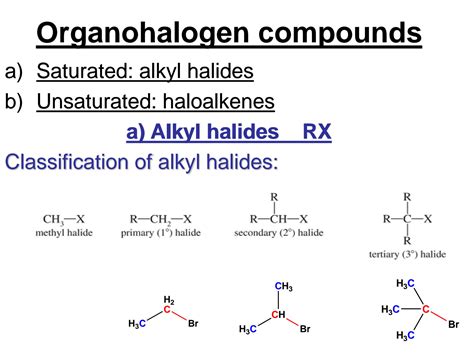 Solution Organic Lec 6 Alkyl Halides Studypool