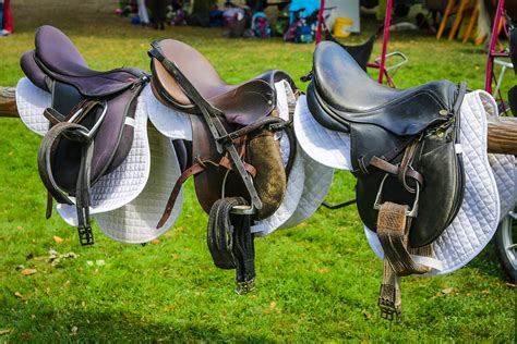 English Saddle Vs Western