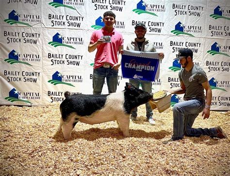 2023 — Winter Livestock & Feed