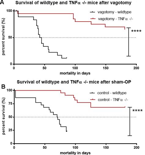 Tnfα Deficiency Abolished The Effect Of Vagotomy On Survival In