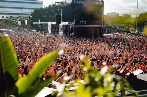 Coala Festival Abre Pr Venda De Ingressos Portal Edilene Mafra