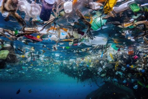 Microplastiques Dans L Eau Du Robinet Quelles Solutions Choisir