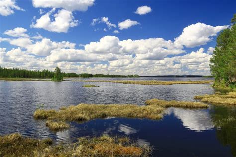 lake  clouds reflecting  tranquil water  forested shoreline