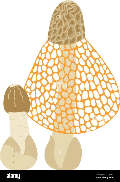 Bamboo Mushrooms Hand Drawn Veiled Lady Mushroom Trendy Flat Style