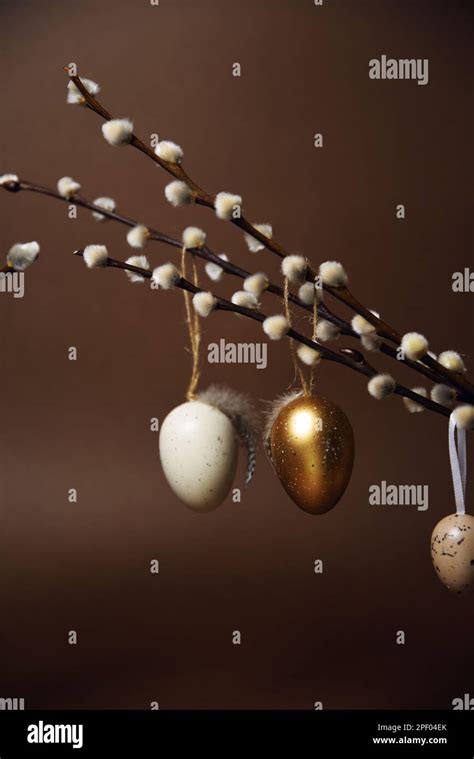 Easter Decorations On A Brown Background Painted Eggs Hang On Pussy Willow Branches Spring Is