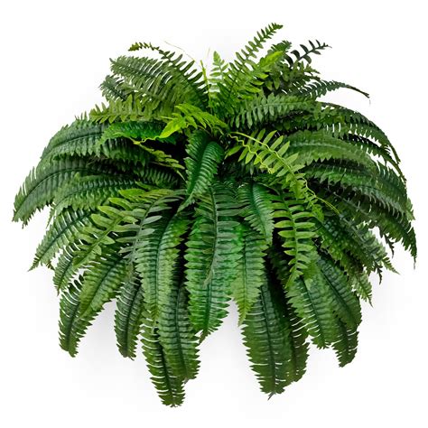 Single Silky Artificial Boston Fern Bush 48Inch Artificial Plants