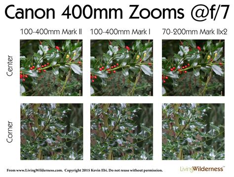 Living Wilderness: Hands on with the Canon 100-400 IS Mark II