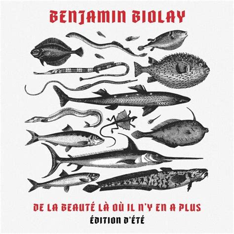 Benjamin Biolay De La Beaut L O Il N Y En A Plus Dition D T