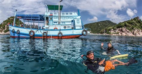 Tingkatkan Keterampilan Menyelam Anda Dengan Penyegaran Scuba PADI Di