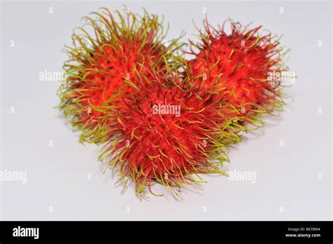 Tropical Fruit Rambutan Stock Photo Alamy