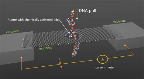 Dna Sequencing Through A Graphene Nanopore