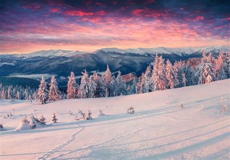 Colorful Winter Sunrise in the Snowy Mountains. Stock Image - Image of ...