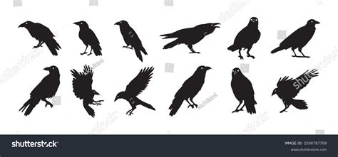 41,644 Crow Silhouette Royalty-Free Photos and Stock Images | Shutterstock