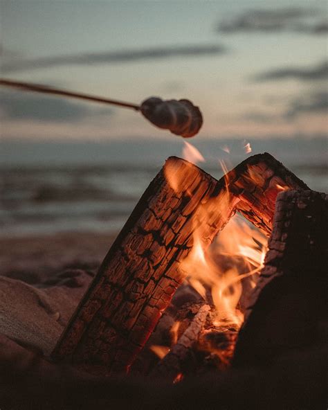 Bonfire Logs Fire Marshmallow Flame HD Phone Wallpaper Peakpx