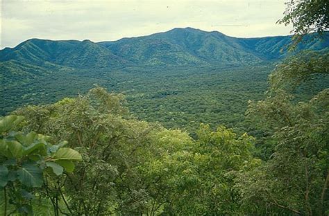 Gambela National Park National Parks National Park Photos Ethiopia