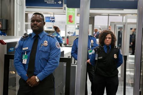 Tsa Scanners Are Sex Abuse