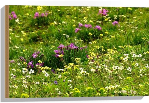 Wallclassics Hout Gekleurde Bloemetjes Tussen Het Groene Gras