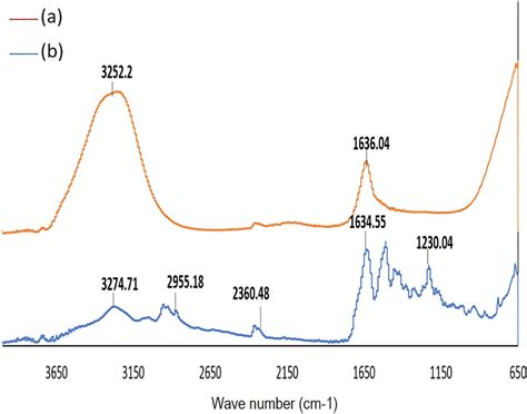 Morphological analysis of nanocomposites using scanning electron ...