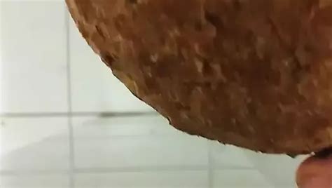 Bread Masturbation Gay White Amateur Porn Feat Francesco Spinozzi By FapHouse XHamster