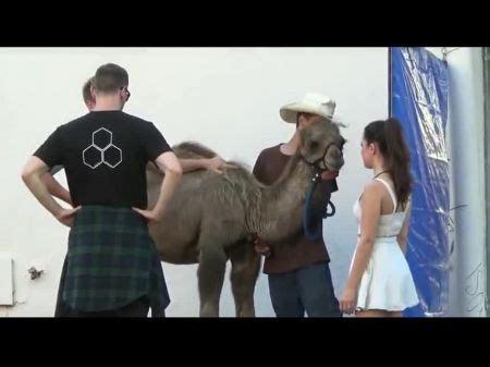 Cameltoe Porn Free Xxx Tubes Look Excite And Delight Cameltoe Porn Porn At Hotntubes