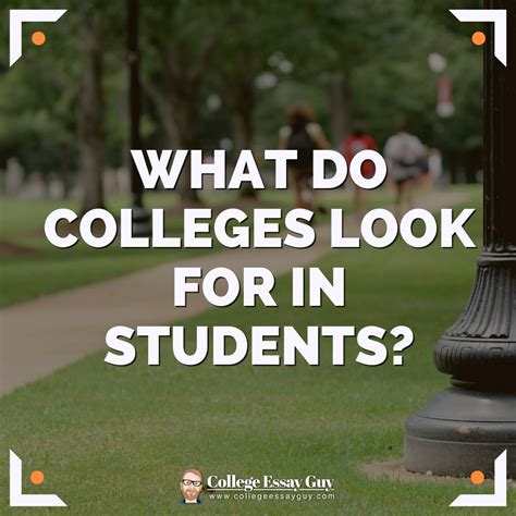 What Do Colleges Look For In Students