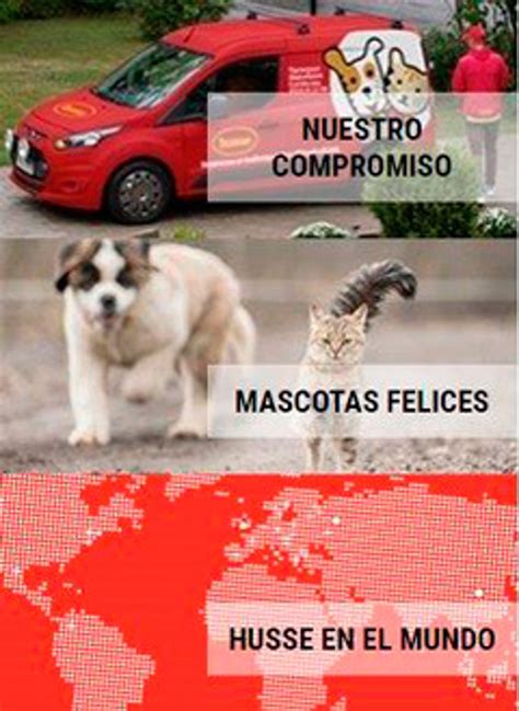 Franquicias. Franquicia Husse.