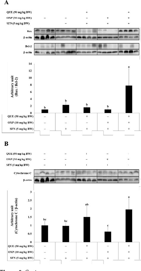 Figure 8 From Quercetin Induced Glutathione Depletion Sensitizes