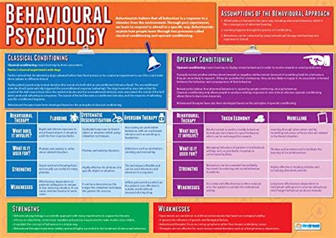 Behavioral Psychology | Psychology Posters | Laminated Gloss Paper Measuring 33 x 23.5 ...