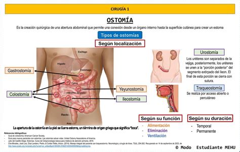 Ostom A Conceptos B Sicos Modo Estudiante Mehu Udocz