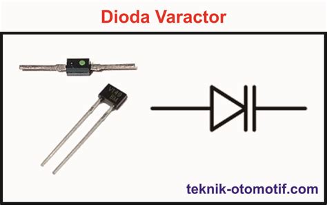 Jenis Jenis Dioda Dan Fungsinya Teknik