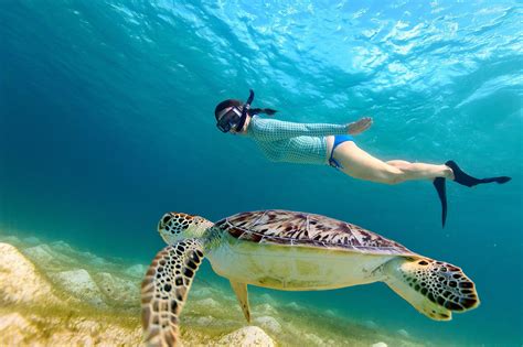 Snorkeling at Silk Caye - Belize City, Belize District