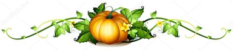 Pumpkin Vine Drawing | Free download on ClipArtMag