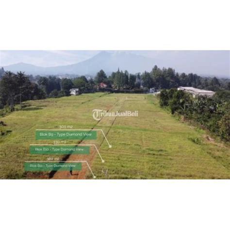 Dijual Tanah Kavling SHM Green Mountville Puncak Di Bogor Tribun JualBeli