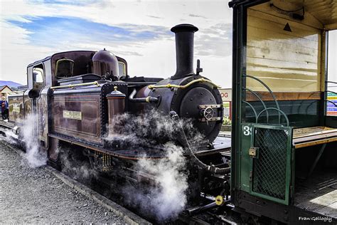 Ffestiniog Railway Photograph by Fran Gallogly - Fine Art America