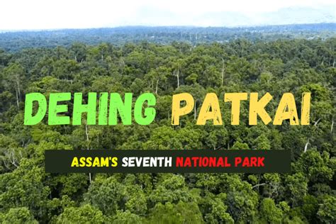 Dehing Patkai The 7th National Park Of Assam 2021 Majuli Island The