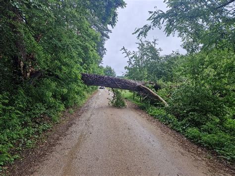 Drzewo powalone na drogę gminną w Lubiatowie zdjęcia Choczewo24 info