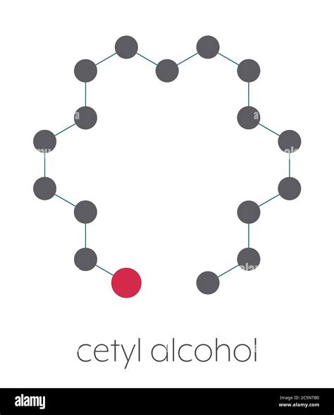 Cetyl (or palmityl) alcohol molecule. Constituent of cetostearyl ...