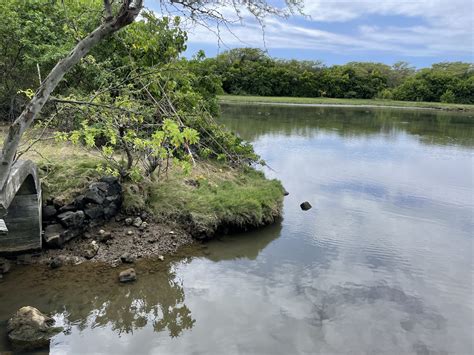 Honu'Apo Estuary Wetland Restoration, Phase I - Bow Engineering - Civil