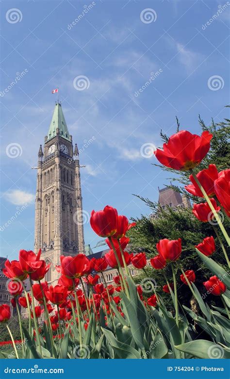 Peace Tower and Tulips in Ottawa Stock Photo - Image of angle, outdoors ...