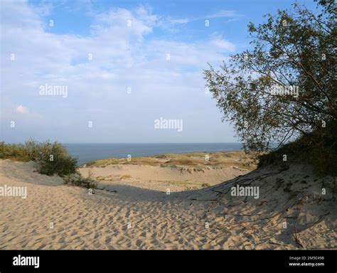 The Parnidis Dune In The Curonian Spit National Park Is One Of The
