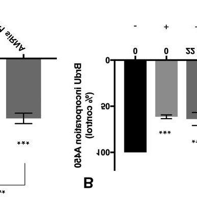 Inhibition Of A Cell Proliferation By Enoxaparin And Doxorubicin