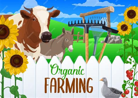 Premium Vector | Farming vegetable harvest farm animals and tools