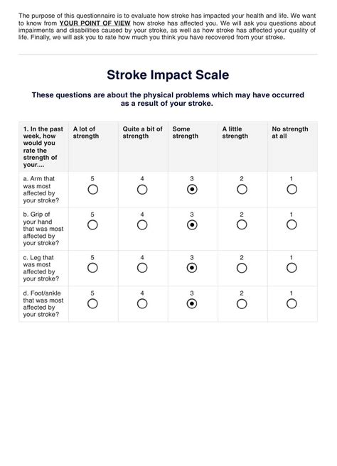 Stroke Impact Scale Template & Example | Free PDF Download