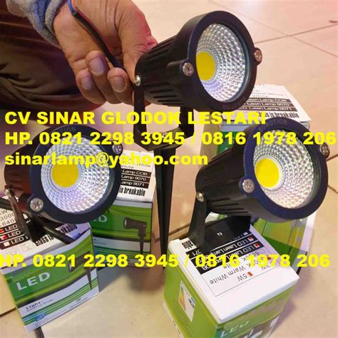 Lampu Sorot Taman Outdoor COB LED 5W 220V